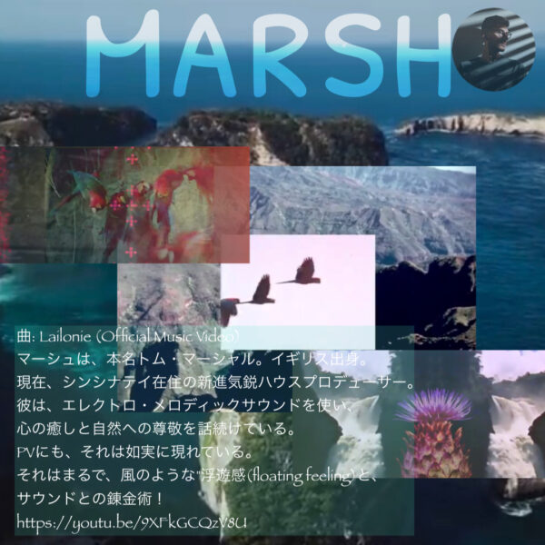 marsh