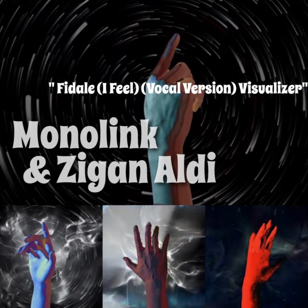 monolink & zigan aldi