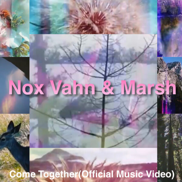 nox vahn & marsh