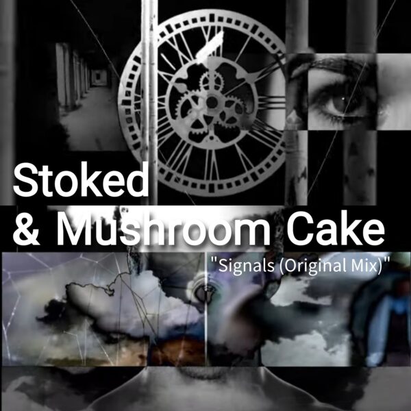 stoked & mushroom cake