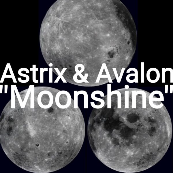 astrix & avalon