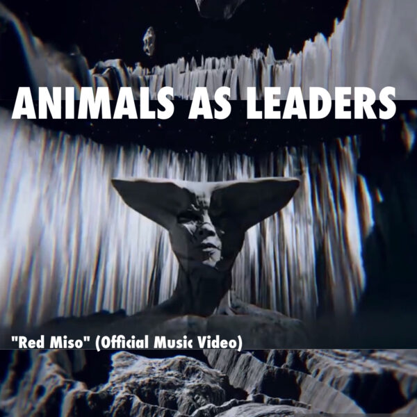 animals as leaders